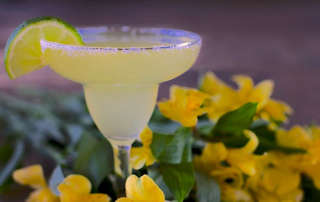 Producto Botella Margarita