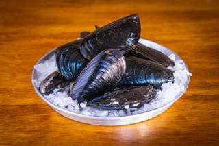 Producto Maltón 12un