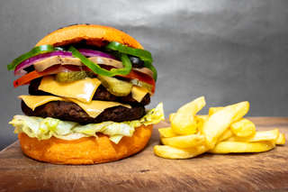 Producto Allosaurus CORDERO