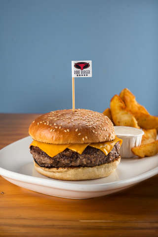 Producto Basic Burger + Papas