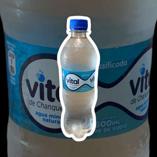 Producto Agua con Gas vital 600ml