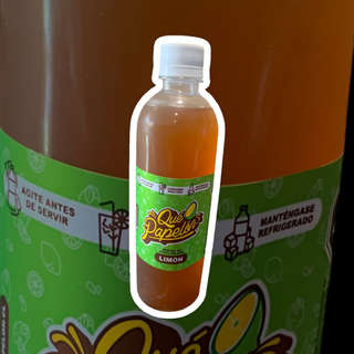 Producto Papelon con Limon 500ml