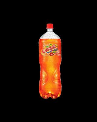 Producto Bebida 2 Litros 