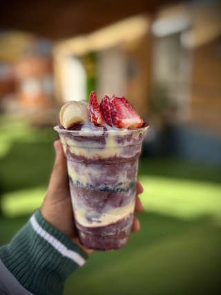 Producto Bowl de Acai BR 490