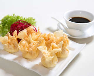 Producto Wantan Especial