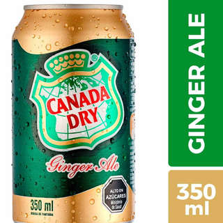 Producto Ginger Ale Lata