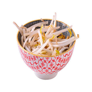 Producto DIENTE DRAGON