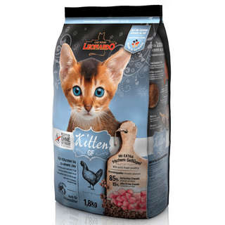 Producto Leonardo Kitten Libre De Grano 1 8k