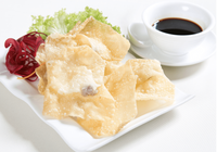 Producto Wantán frito