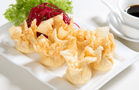 Producto Wantán especial