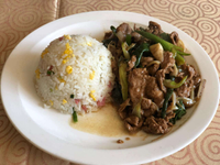 Producto Colación Carne Cebollin