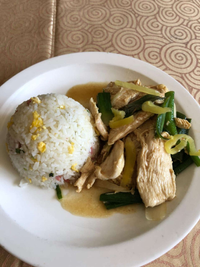 Producto Colación Pollo Mongoliano